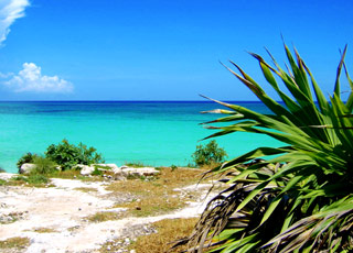 Escale Croatie (Ile de Brac)