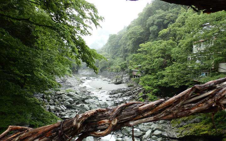 Escale Tokushima